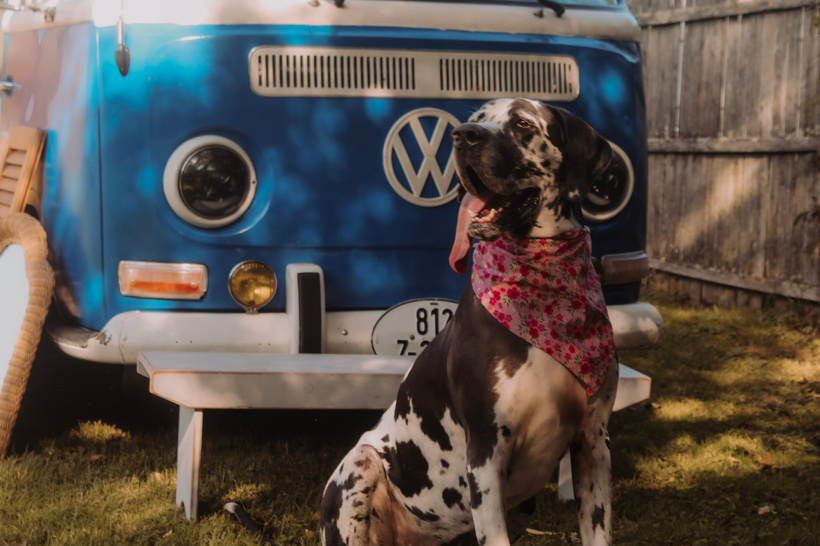 Photo by Lexi Harner